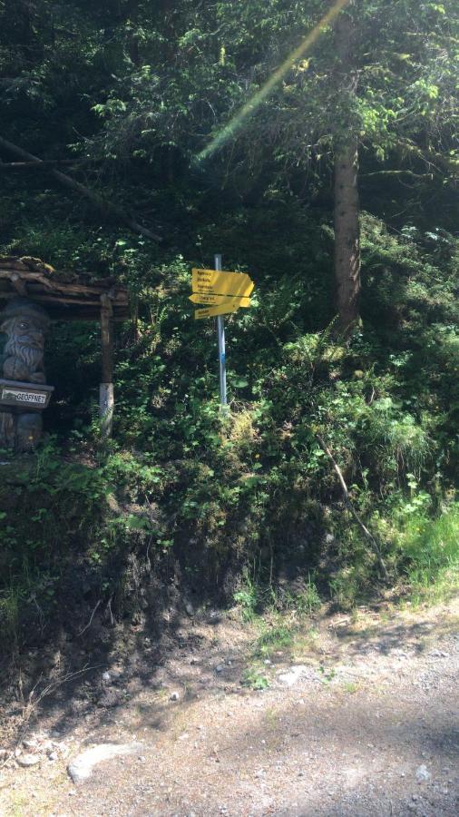 Waldhaus Lechner Steinerkogel Διαμέρισμα Mayrhofen Εξωτερικό φωτογραφία